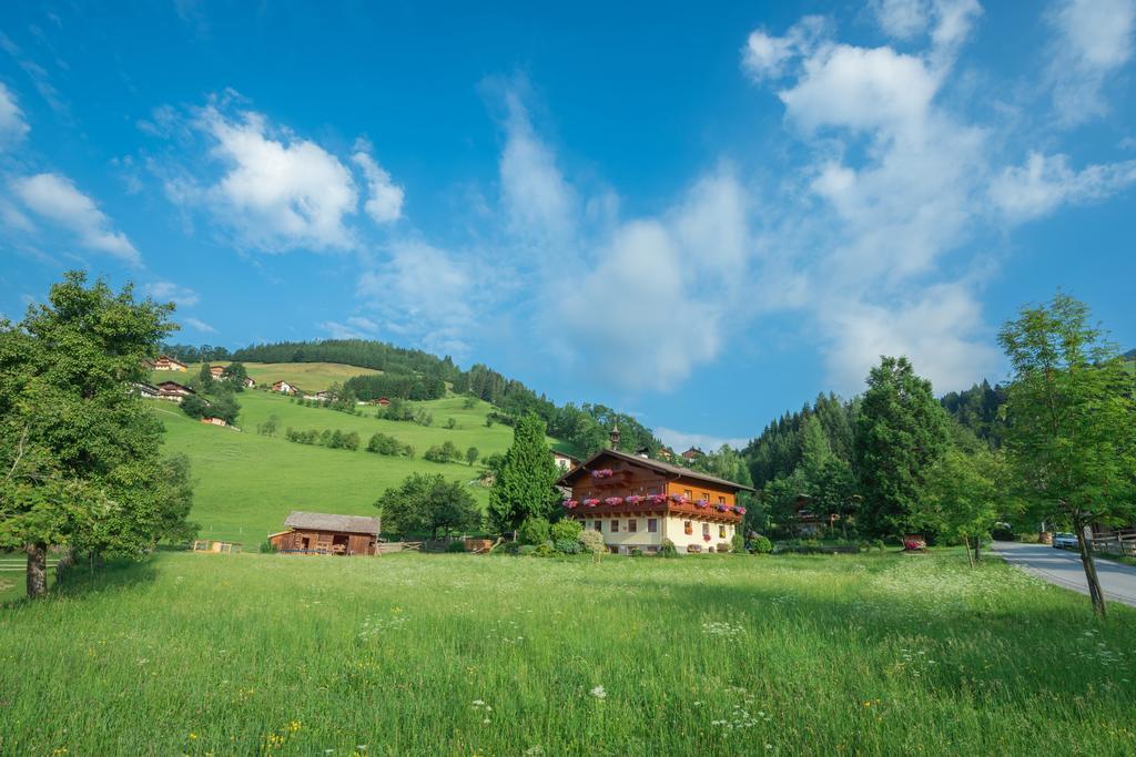 ヴァークラインBauernhof Auhofアパートメント エクステリア 写真