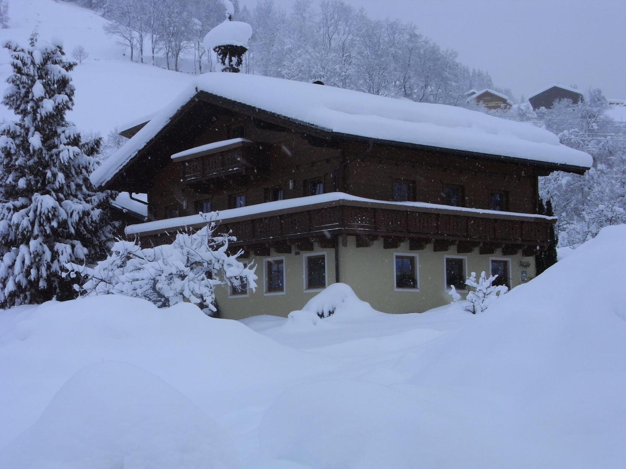 ヴァークラインBauernhof Auhofアパートメント エクステリア 写真