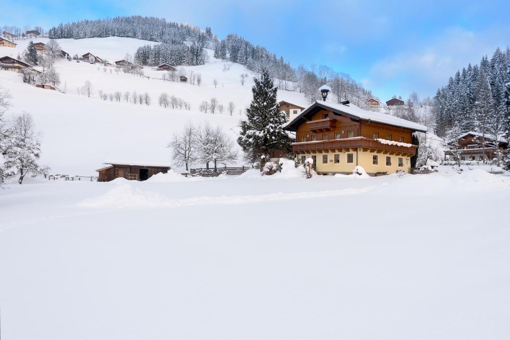 ヴァークラインBauernhof Auhofアパートメント エクステリア 写真